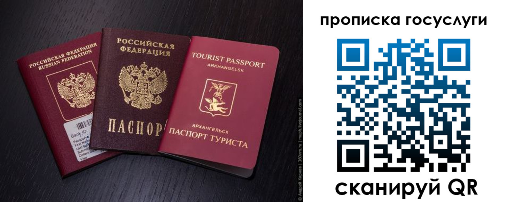 прописка 2025 в Гуково